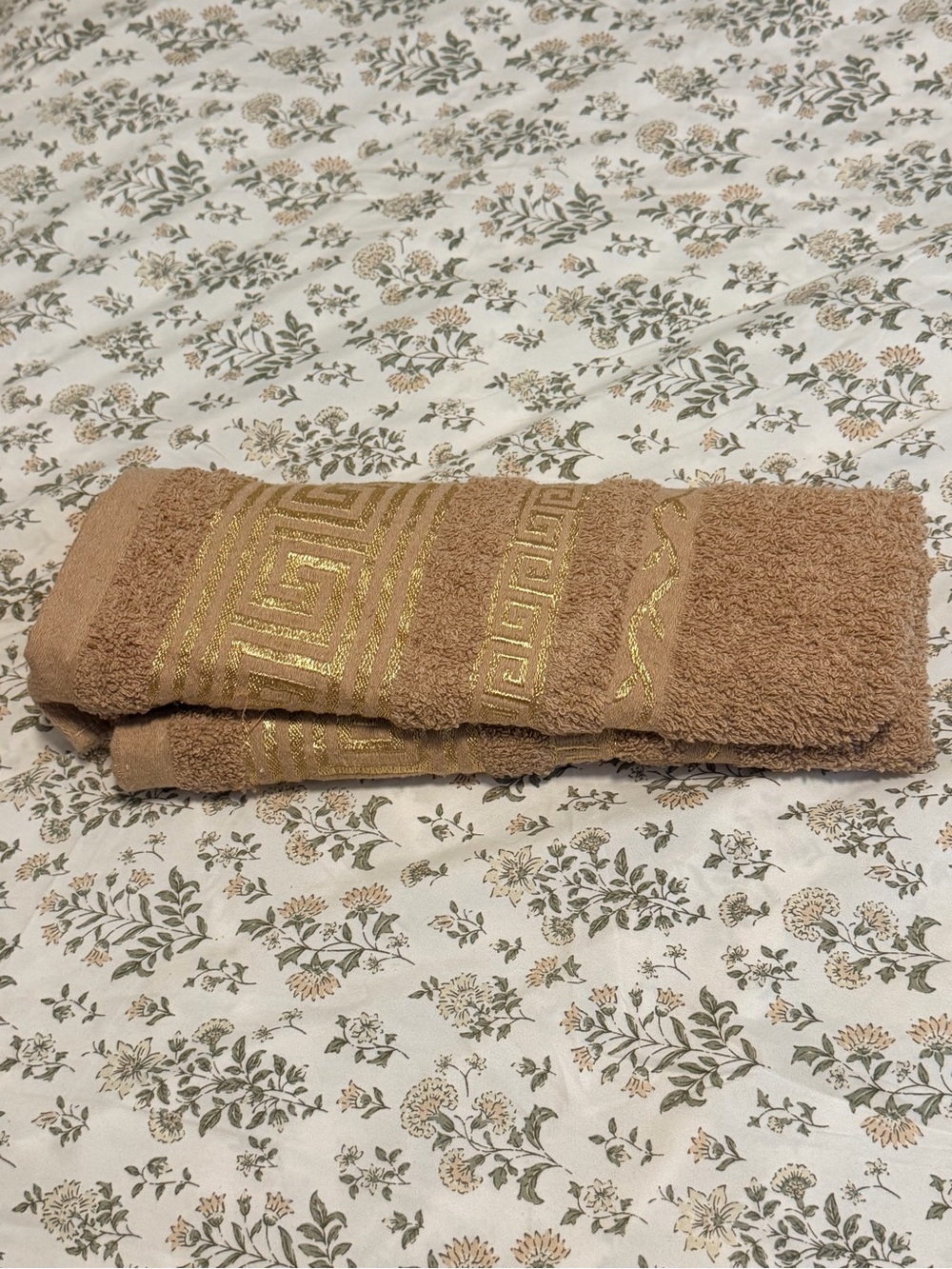 Cotton Decorative Bath Towel - Brown with Gold Trim